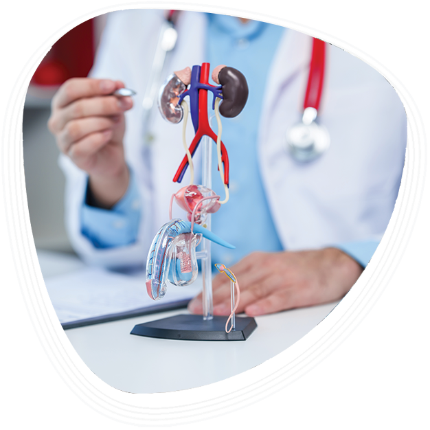 Graphic Era Hospital for Urological Care